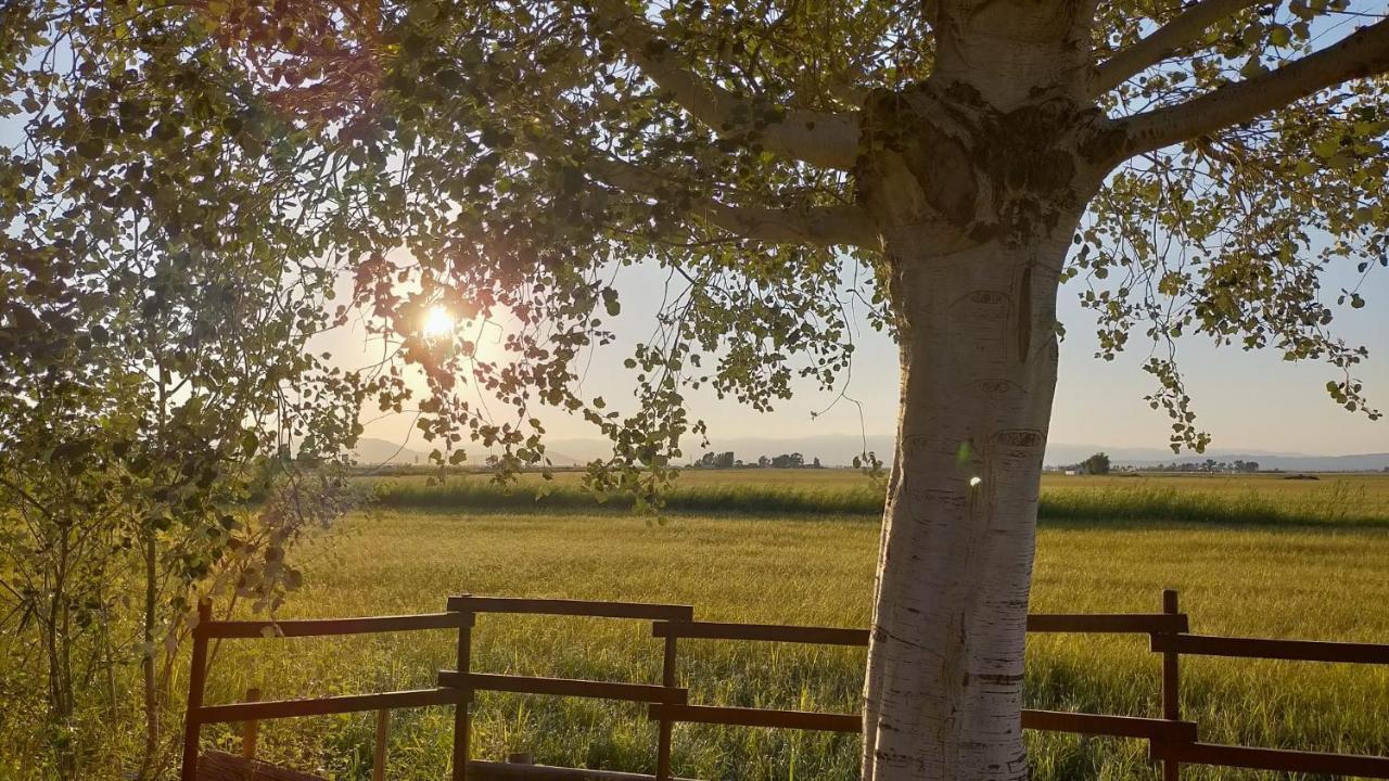 Apartmán El Niu Deltebre Exteriér fotografie